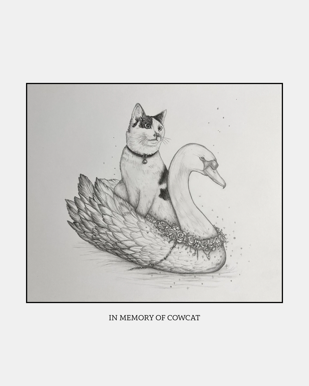 Fine Pencil Drawing „Cow Cat“