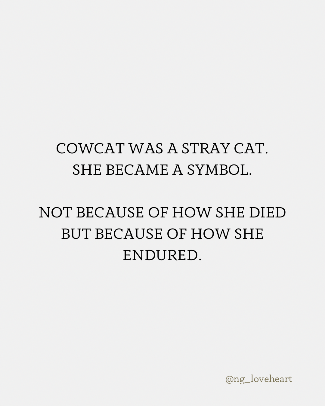 Fine Pencil Drawing „Cow Cat“