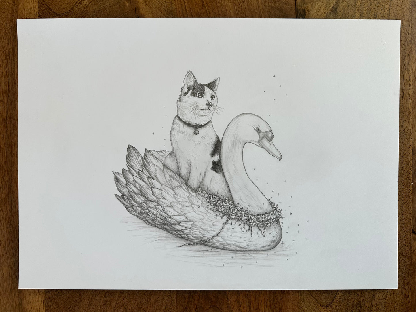 Fine Pencil Drawing „Cow Cat“
