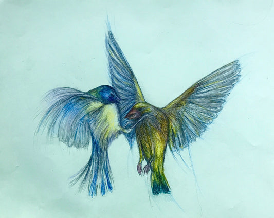 Colored pencil drawing „Birdlove“ on mint paper