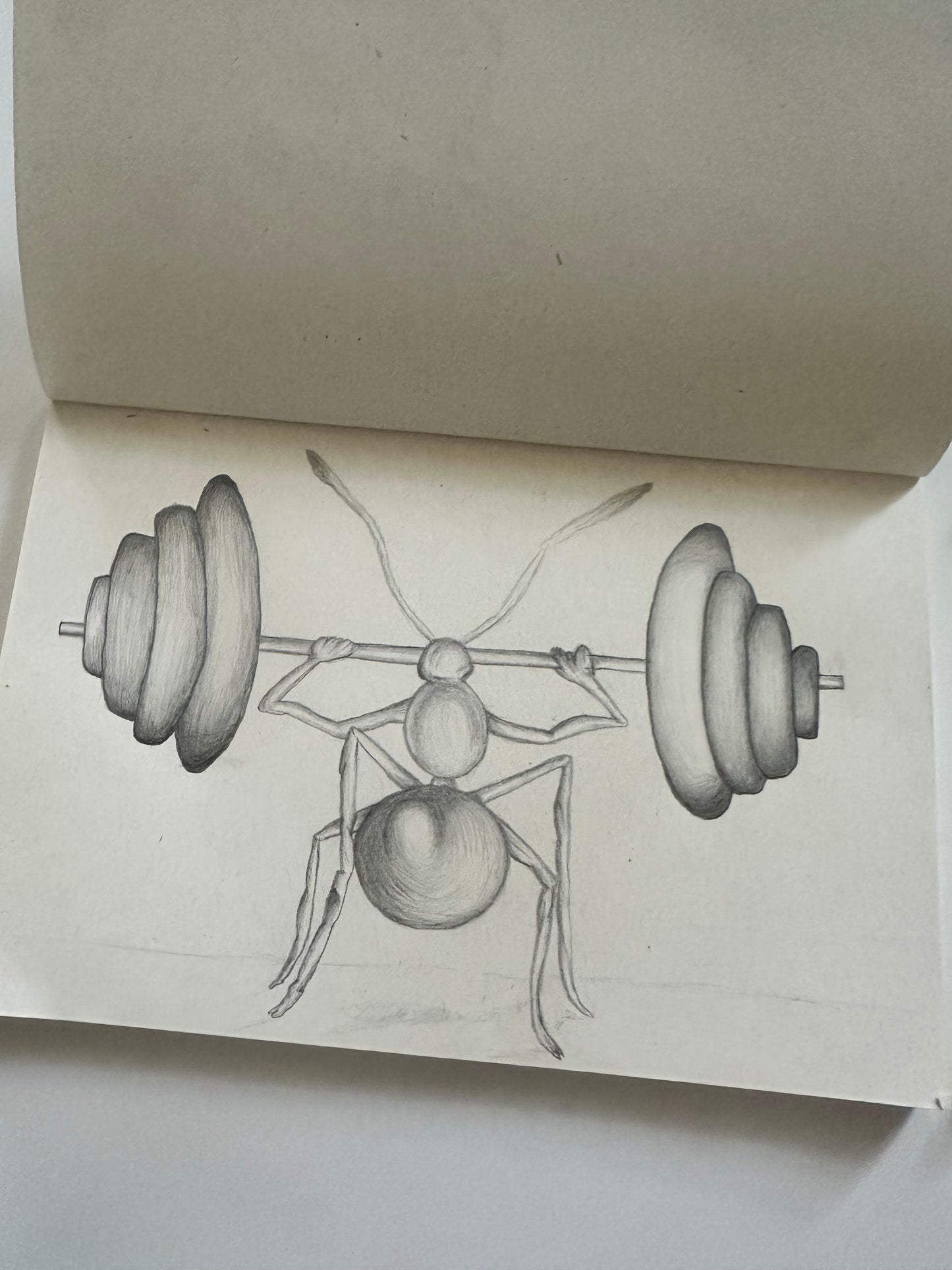 Fine Pencil Drawing „Ant“