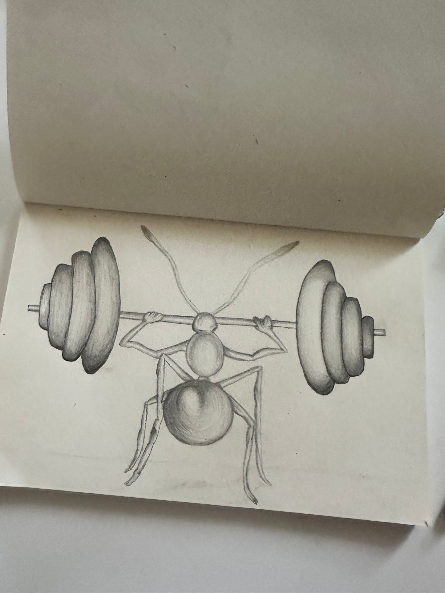 Fine Pencil Drawing „Ant“