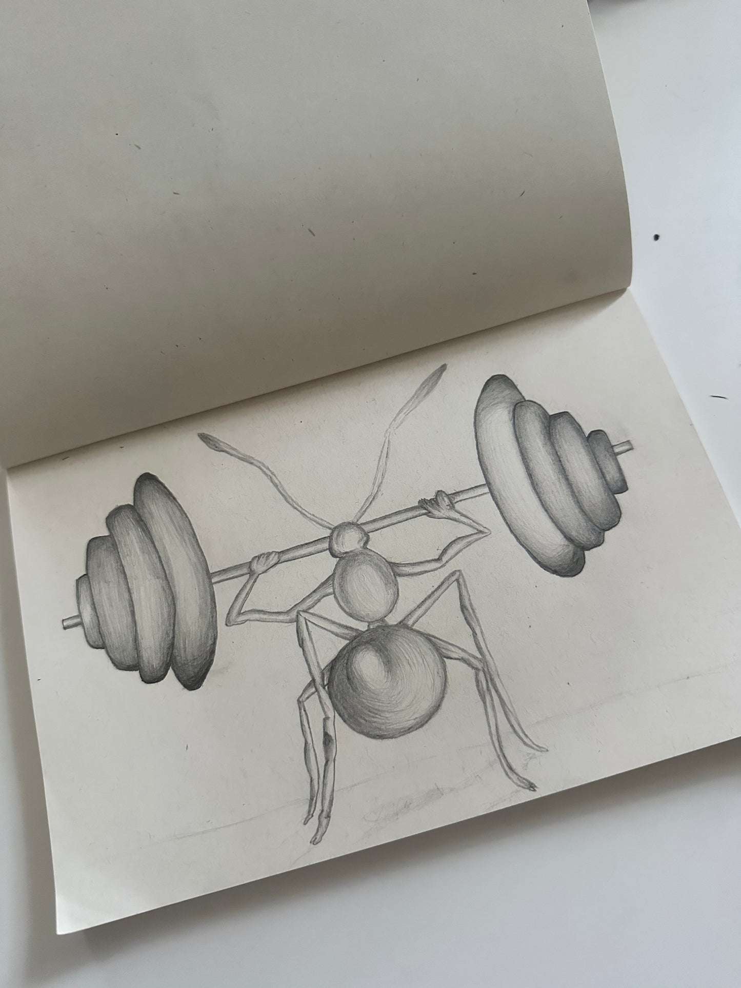 Fine Pencil Drawing „Ant“