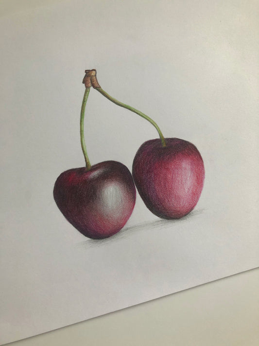 Colored pencil drawing „Wild Cherries“