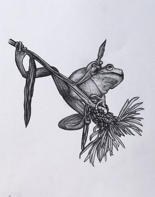 Pencil drawing “Freaky Froggo“