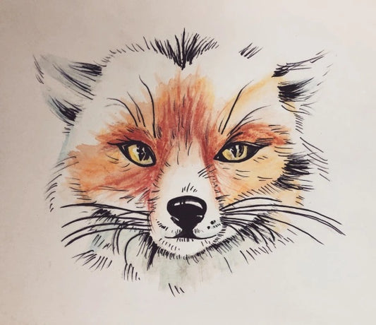 Colored pencil drawing „Fox“