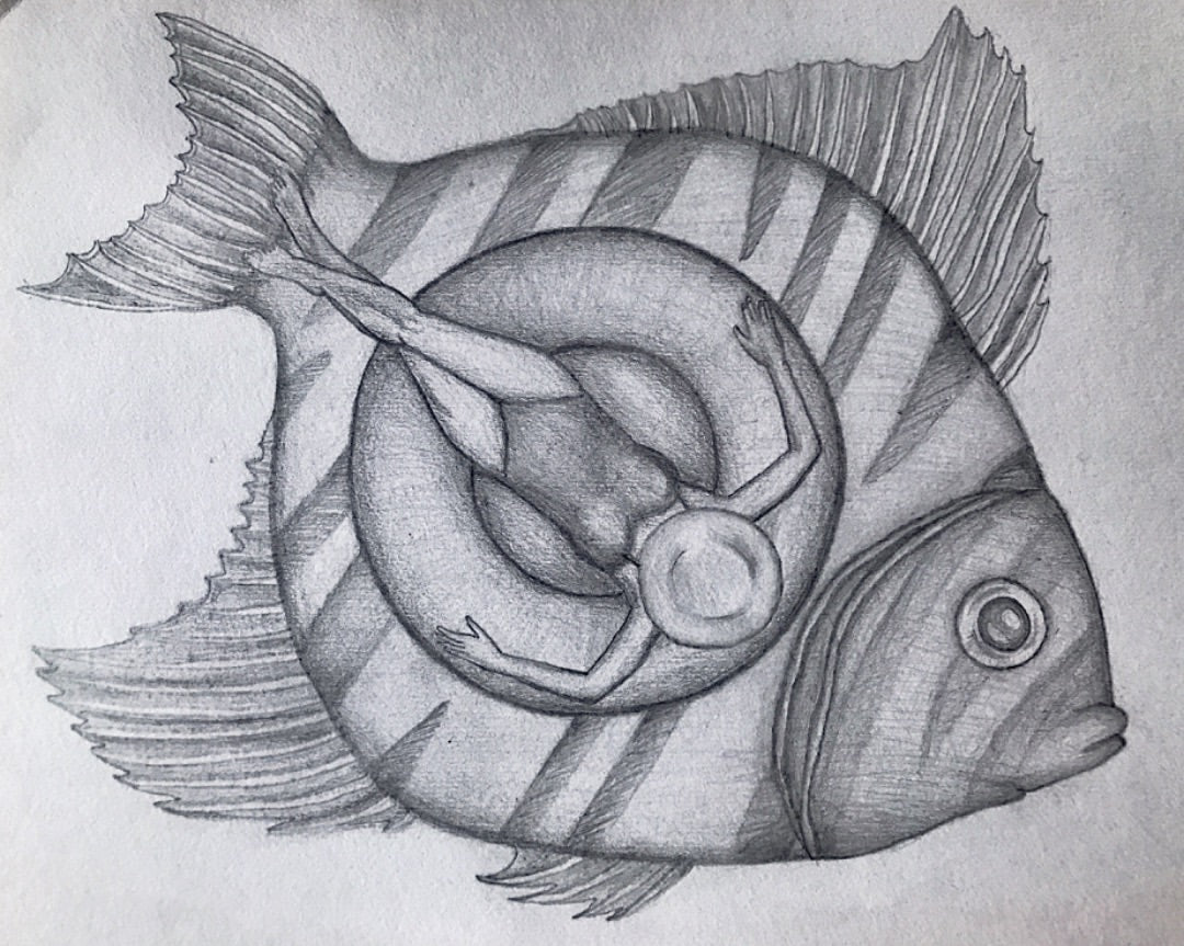 Pencil drawing „Plenty Fish“