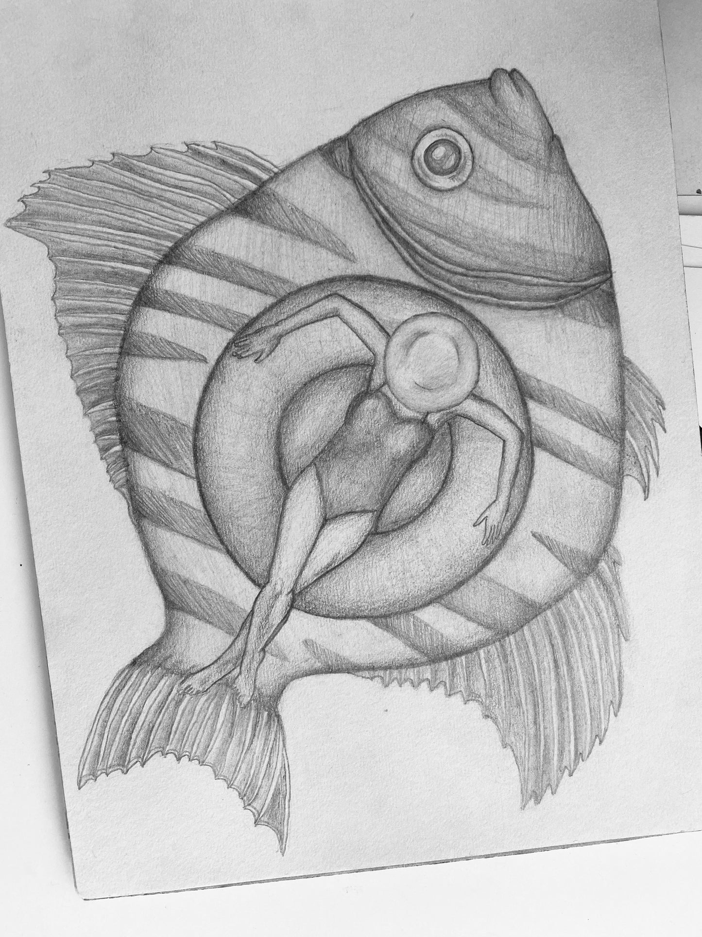 Pencil drawing „Plenty Fish“