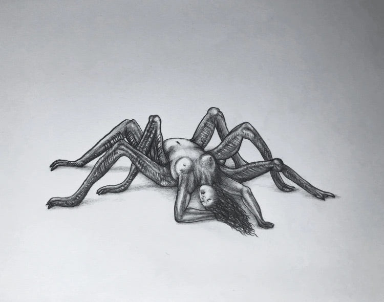 Pencil drawing „Arachne“